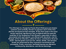 Navgraha Peeda Shanti Mahapuja